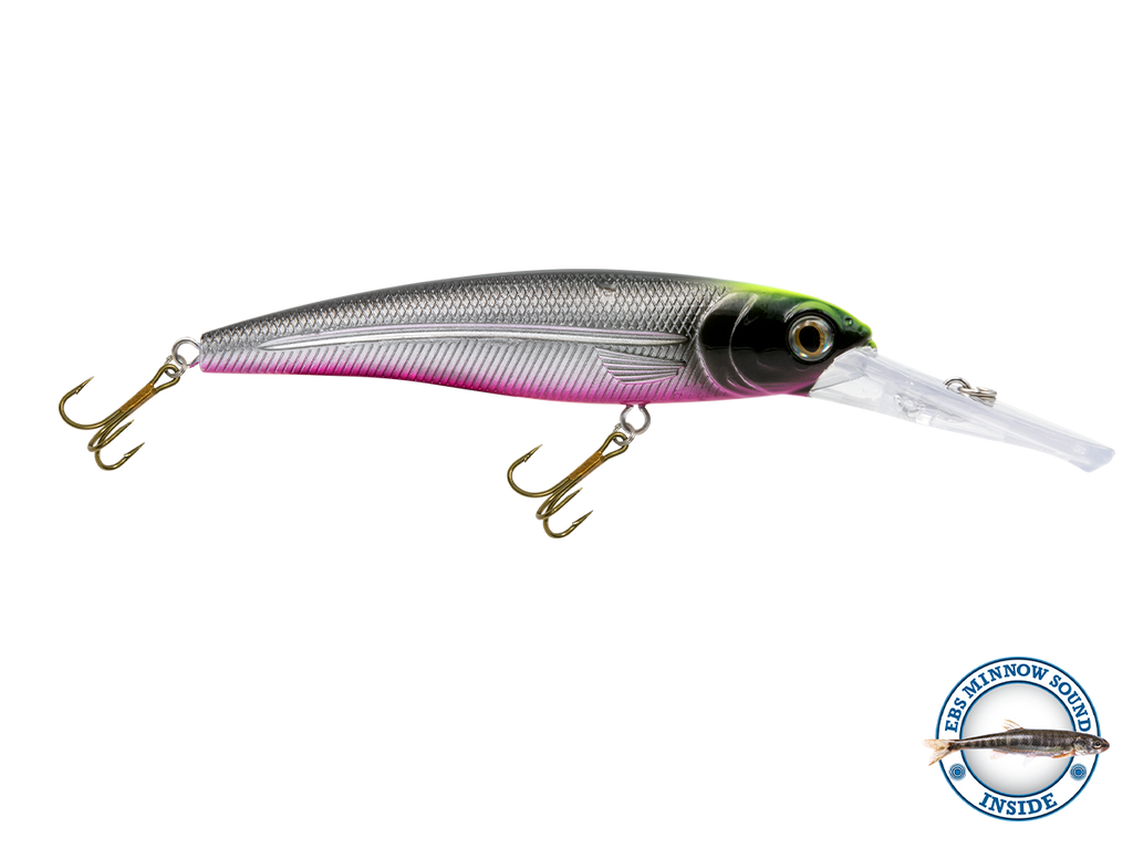 Voyager 15 Walleye