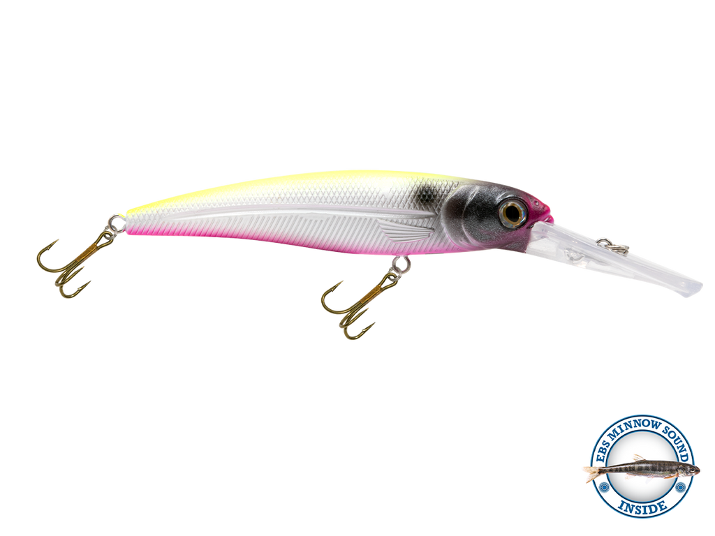 Voyager 15 Walleye