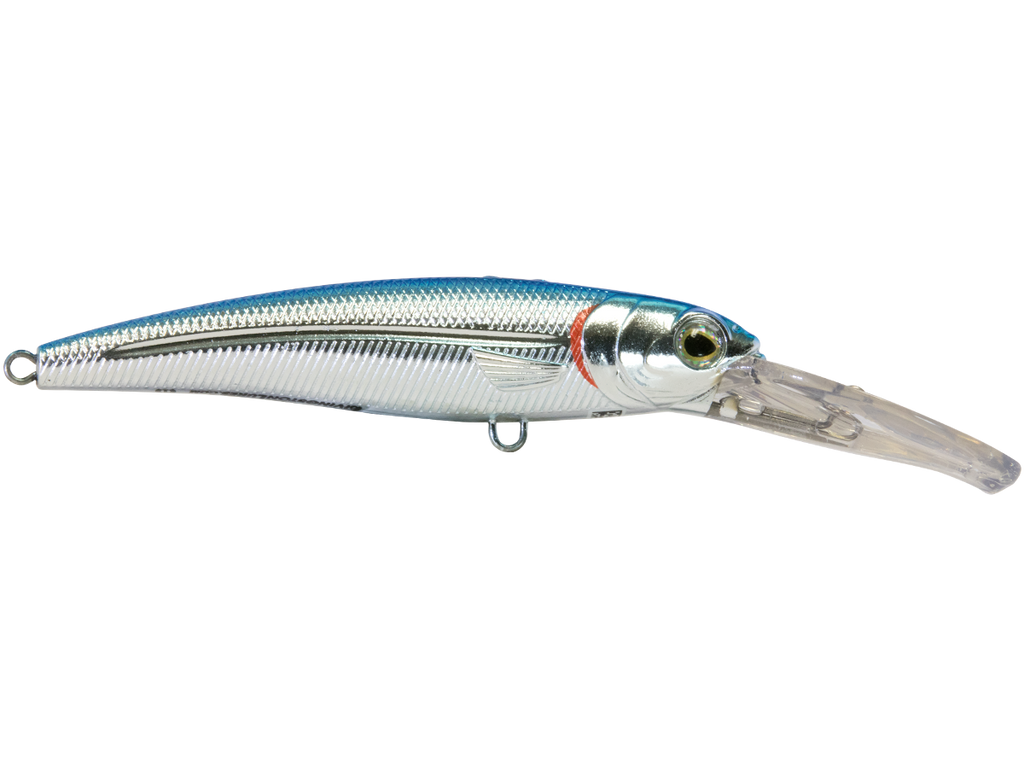 Voyager