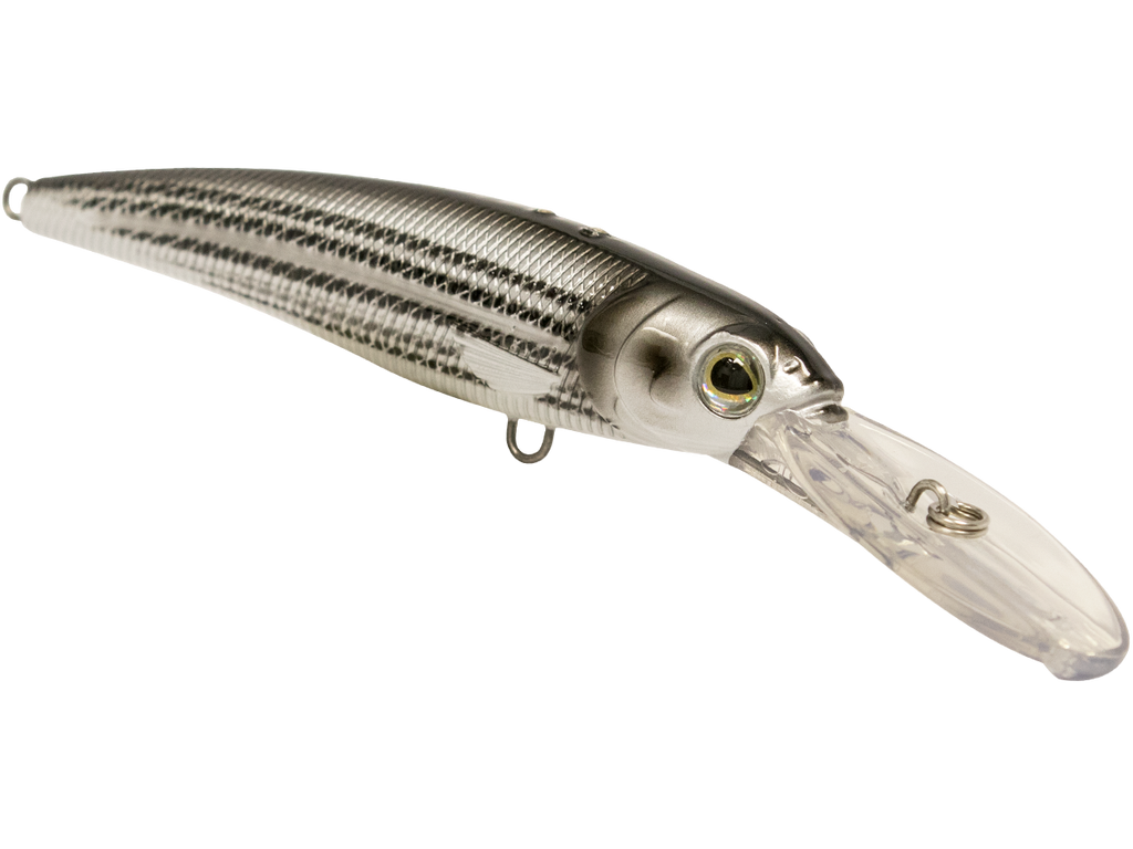 Voyager