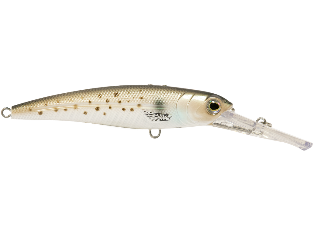 Voyager