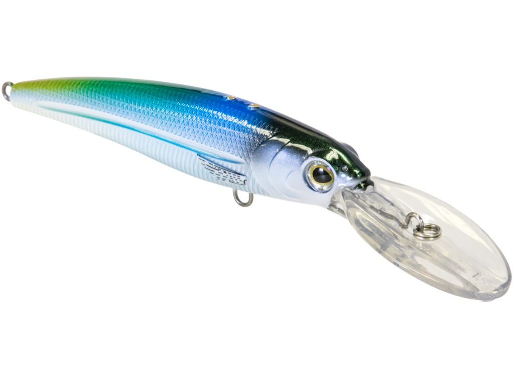 Voyager
