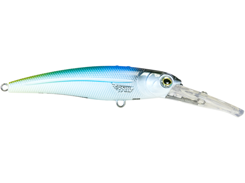 Voyager