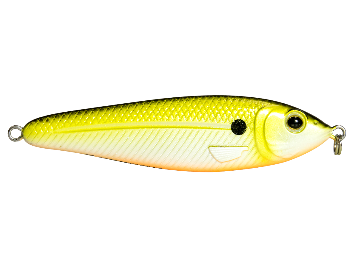 EBS Jigging Spoon