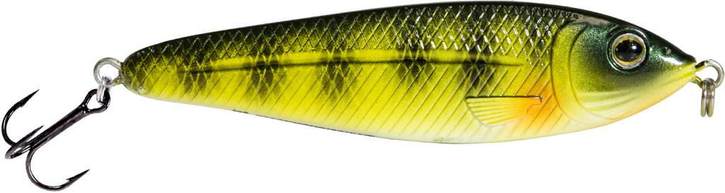 EBS Jigging Spoon