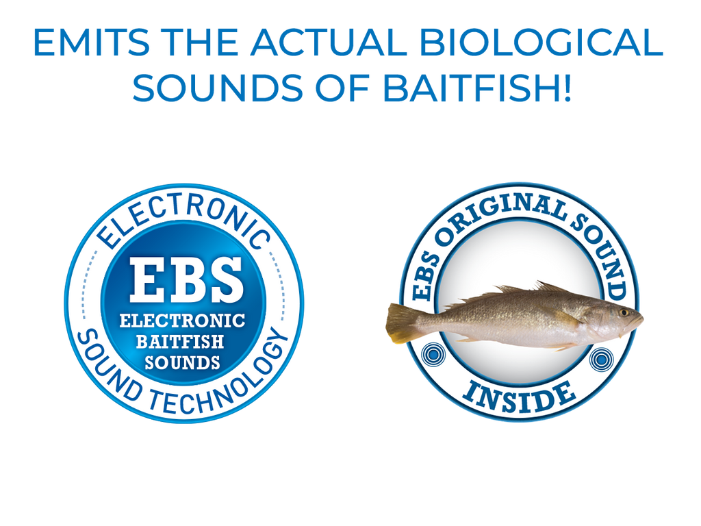 EBS Jigging Spoon