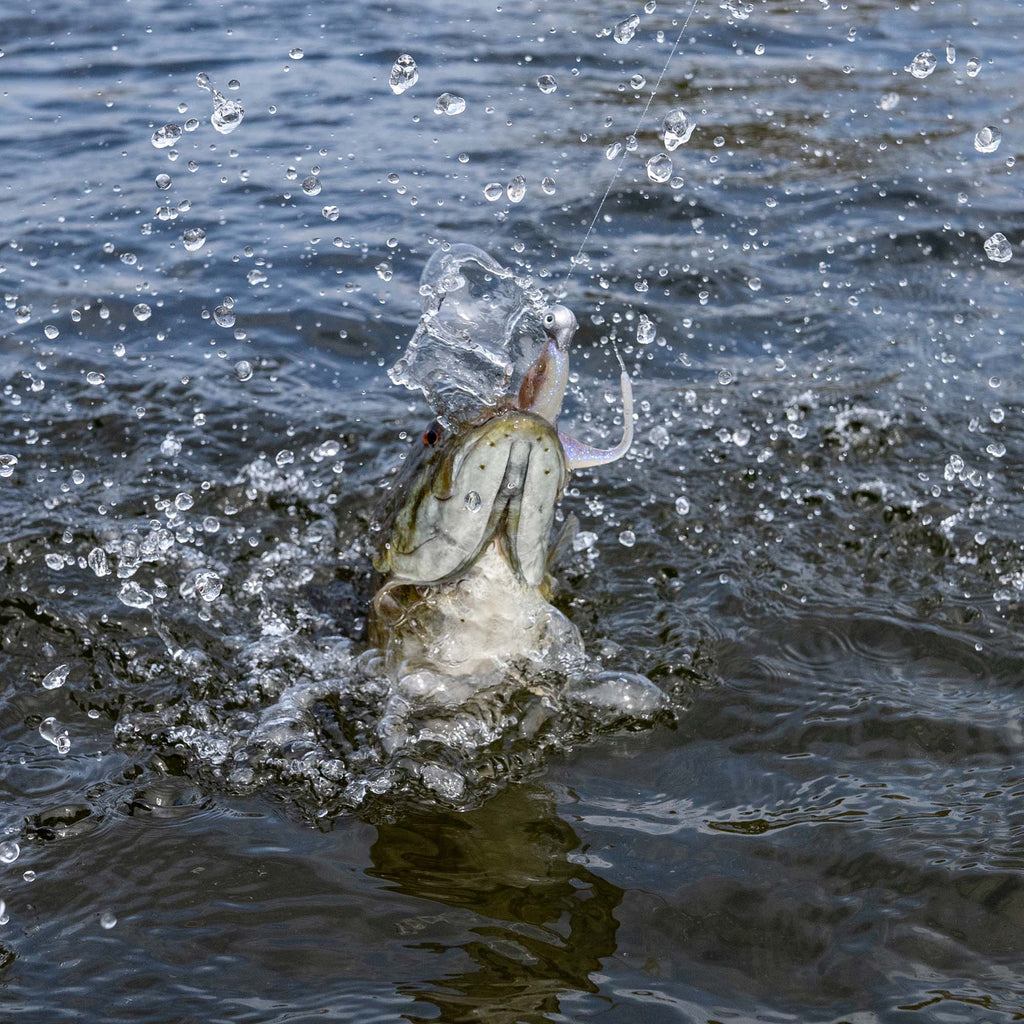Sway Minnow