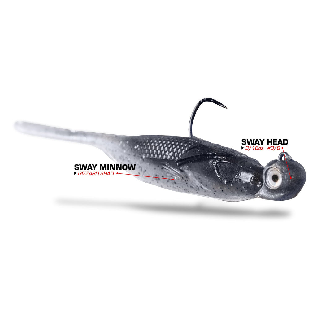Sway Minnow